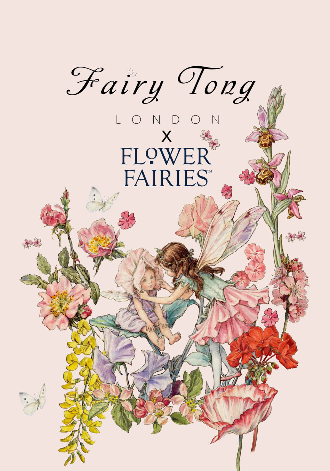 Fairy Tong x Flower Fairies