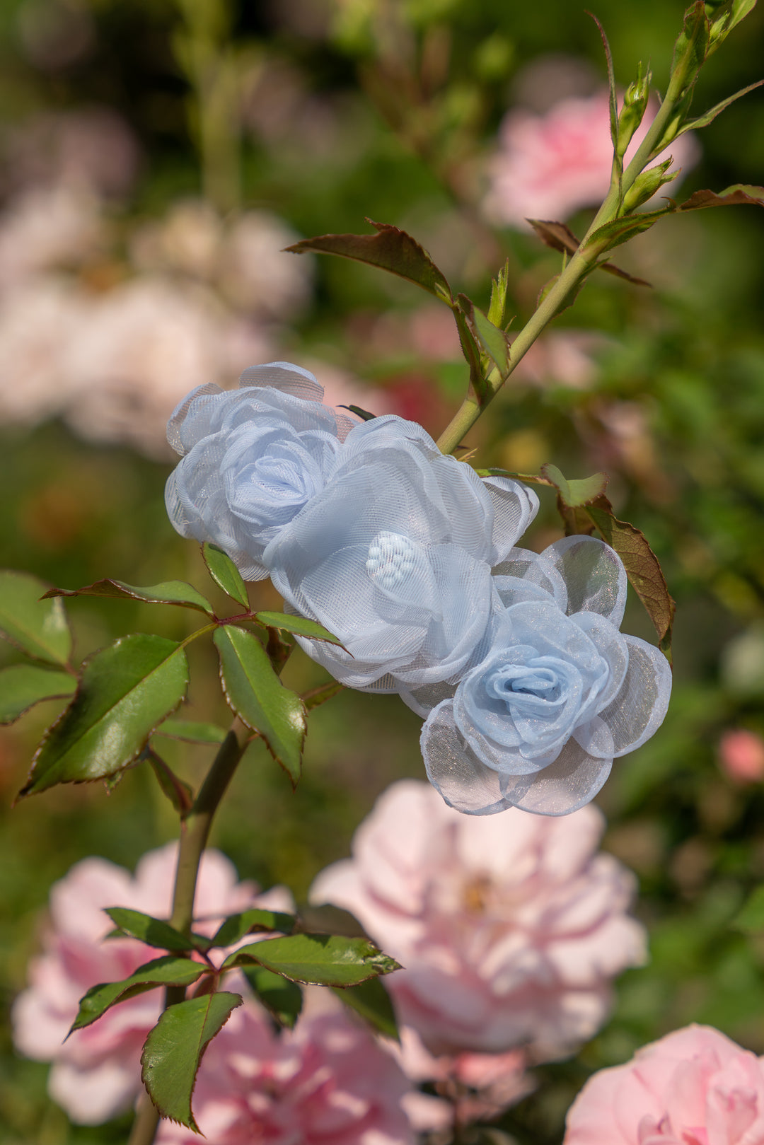 Blossom Hair Clip– 2 Colourways