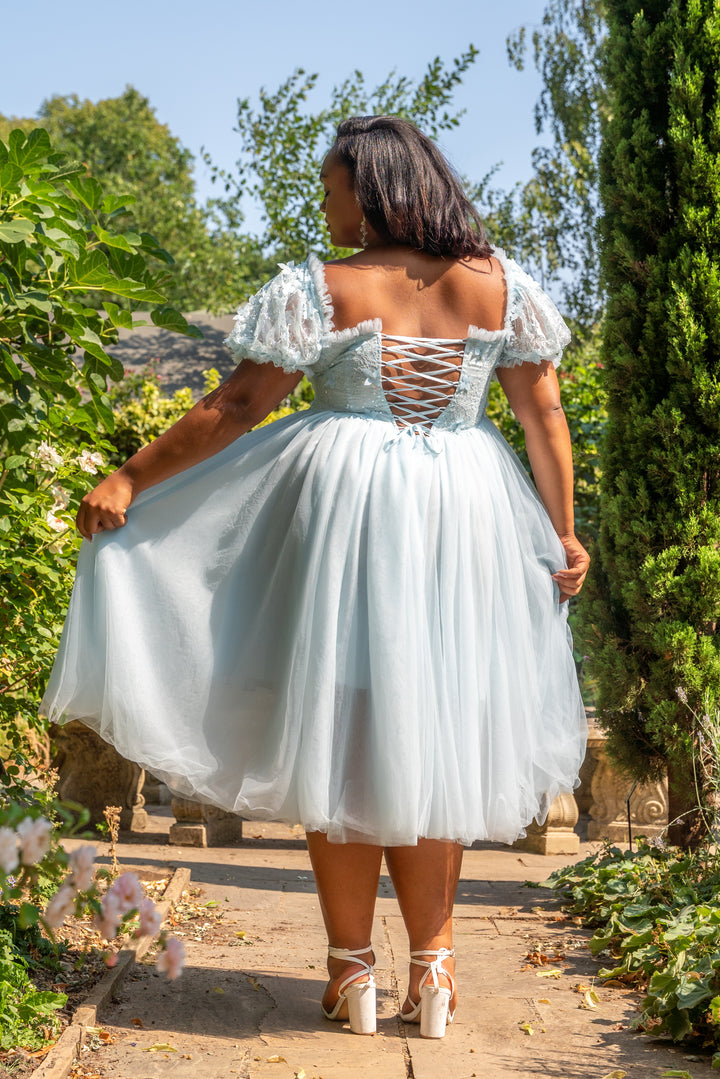 Iris Ballerina Lace Midi Dress