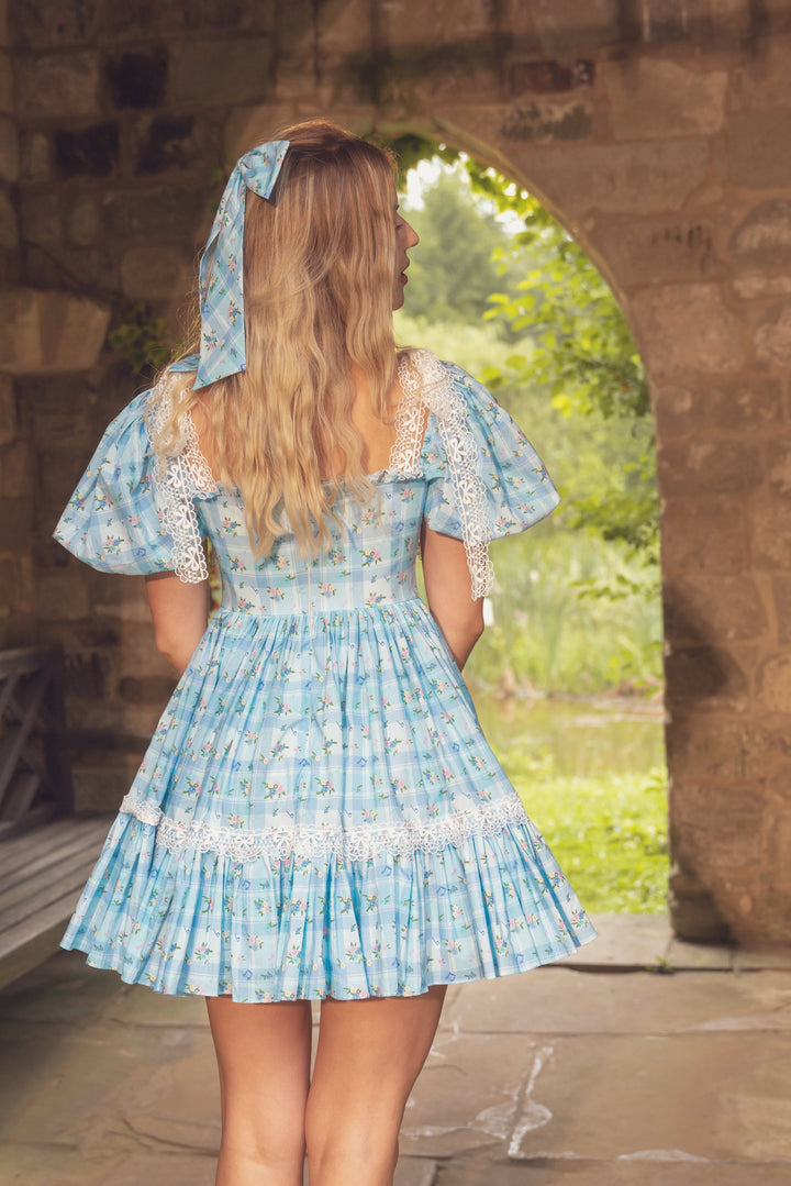 Picnic Melody Mini Dress