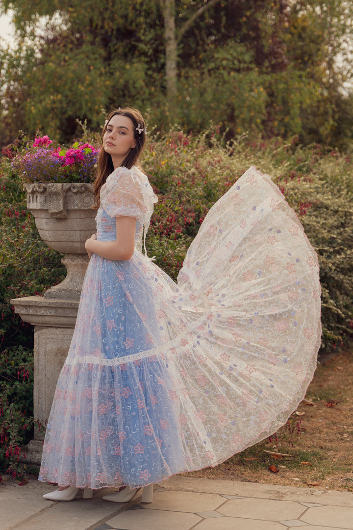 Fairy Tong dress Blue Magic Gown