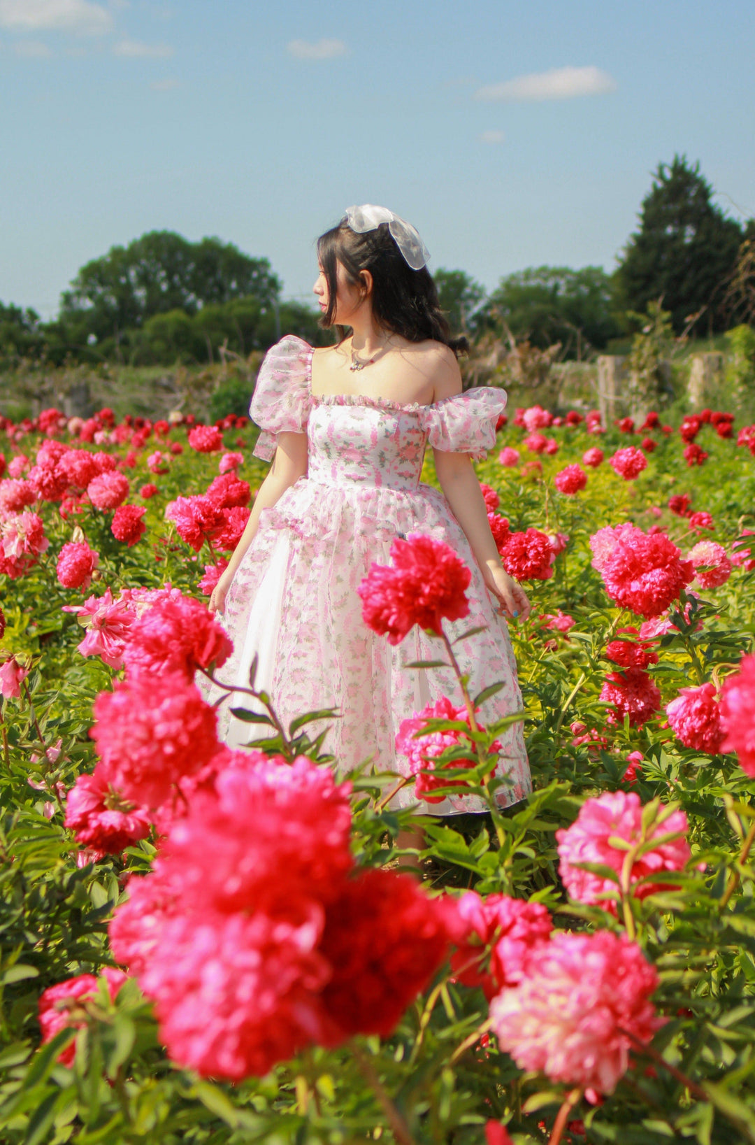 Fairy Tong dress Flowerland Midi Dress