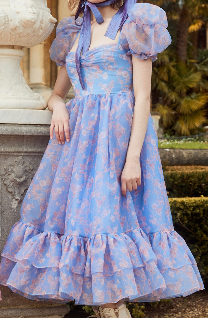 Fairy Tong dress Narcissus Fairy Princess Dress- Cornflower Blue
