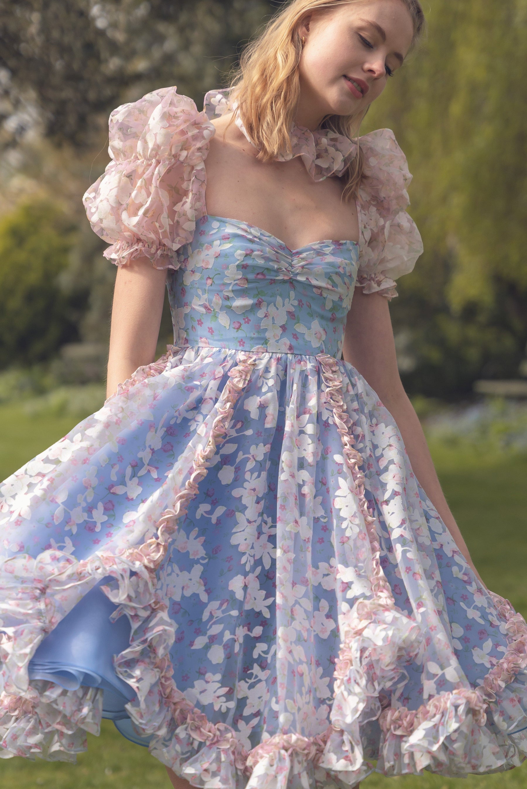 Rose Princess Dress