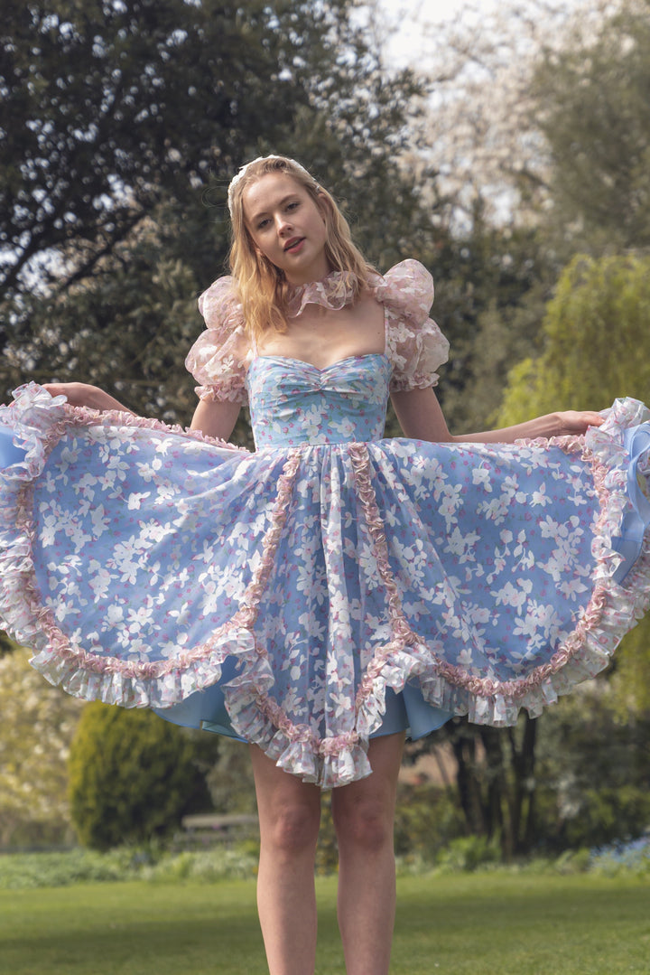 Fairy Tong dress Rose Princess Dress - Periwinkle Blue