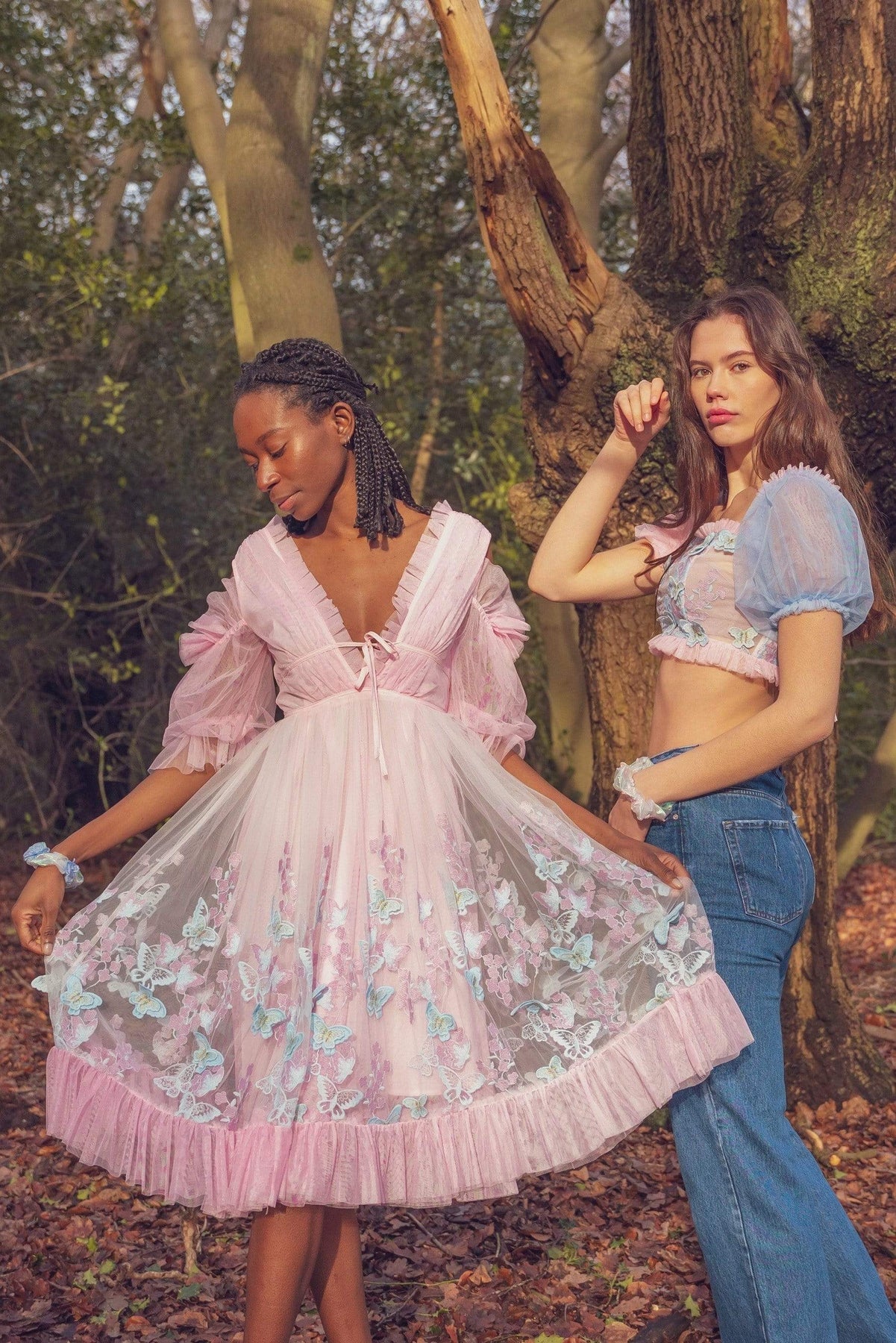 Aurora Butterfly Dress