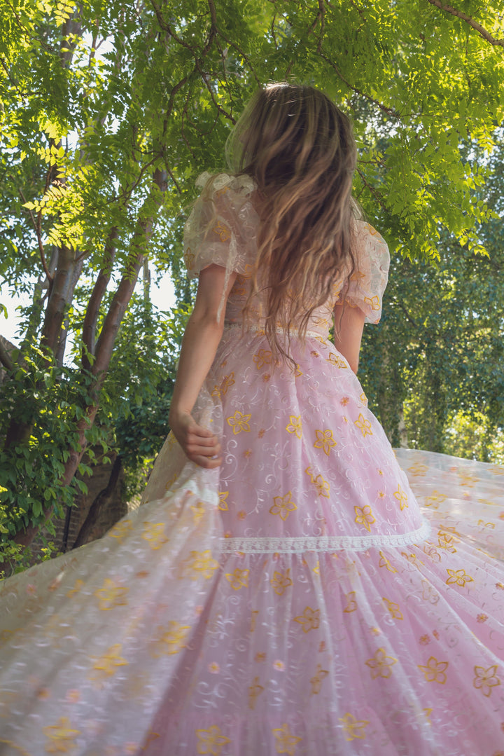 Fairy Tong dress Pink Magic Gown